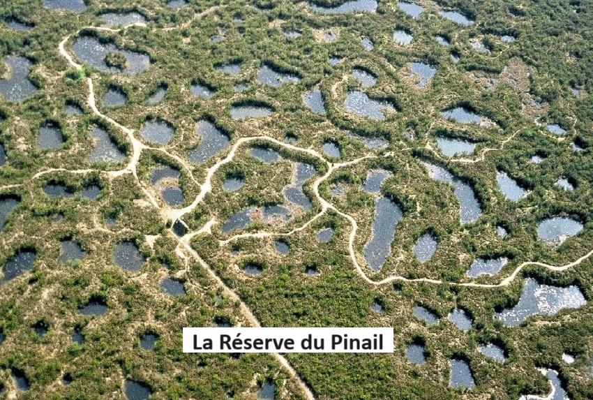 Aerial view pinail reserve 2