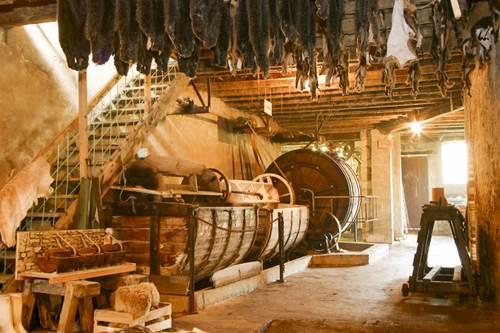 Tannerie fi5854050x430